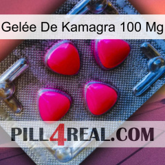 Gelée De Kamagra 100 Mg 13
